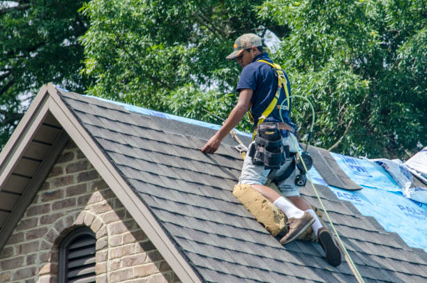 Best Roof Maintenance Services  in Bennington, NE
